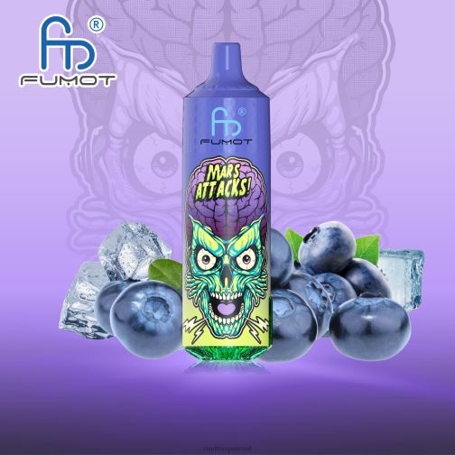RandM Shop Reviews - Fumot RandM Tornado Dispositivo 9000 pro vape com bateria e display ejuice versão 1 464N8185 gelo de mirtilo